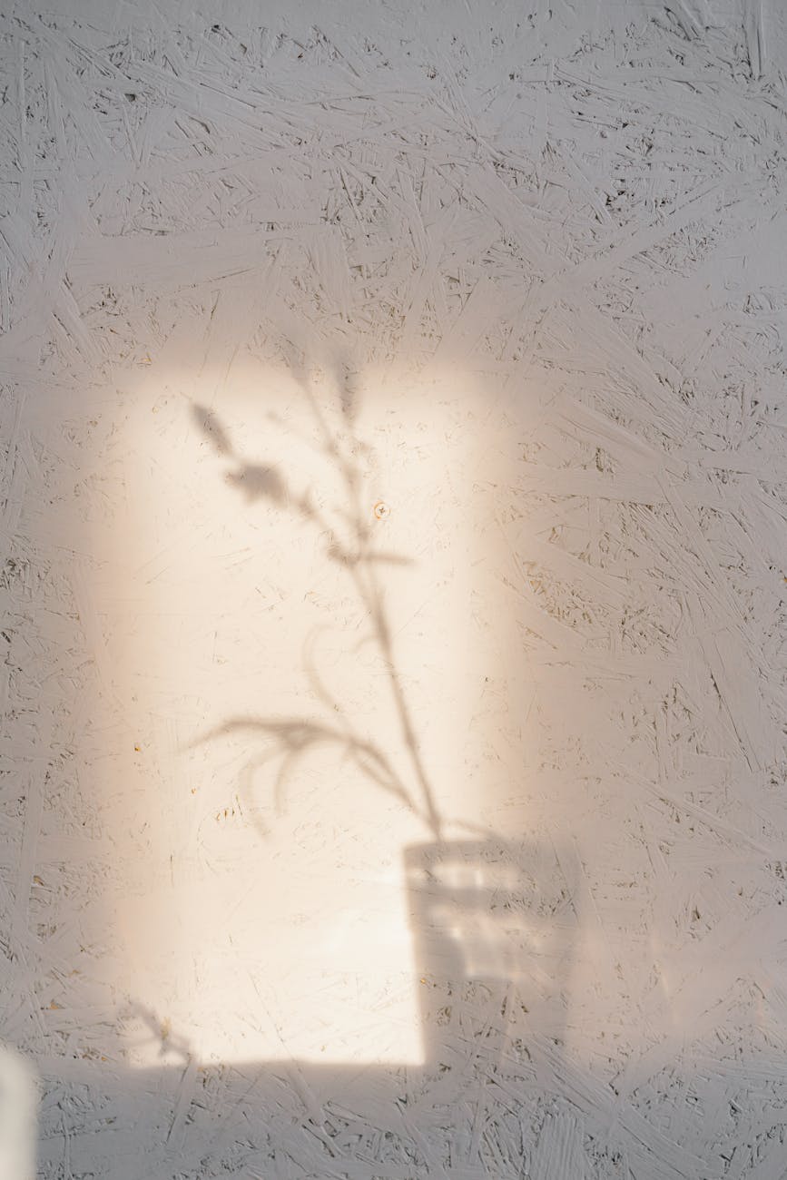 A subtle shadow of a flower cast on a textured wall, creating a calm and artistic ambiance.